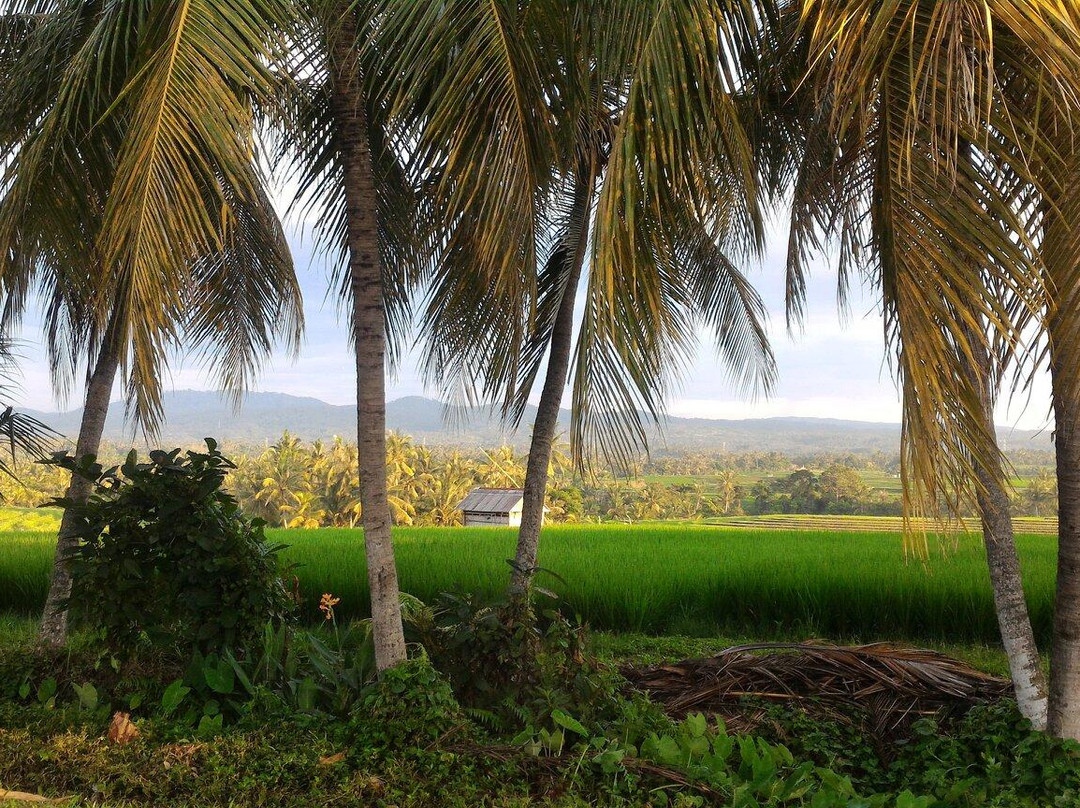 Soka Beach-达巴南必去景点