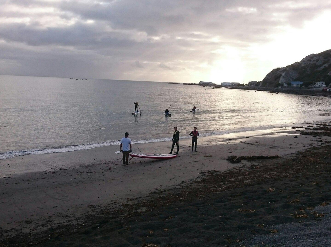 Kiwi Surf Experience景点图片