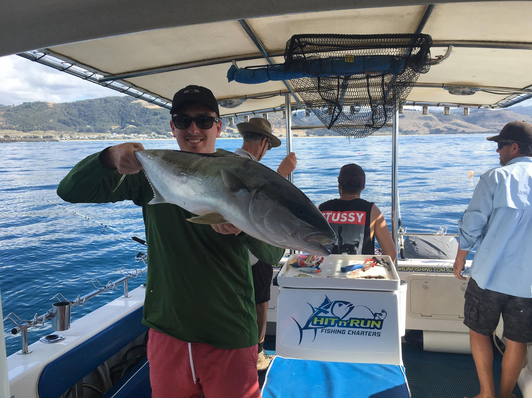 Hit n Run Fishing Charters-阿波罗湾必去景点