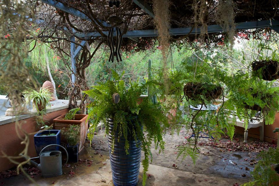 The Magical Kliphuis主图