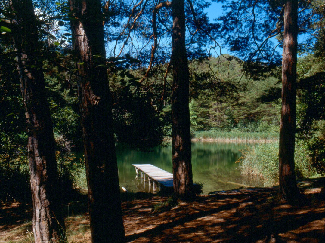 Naturpark Pfyn-Finges-谢尔必去景点