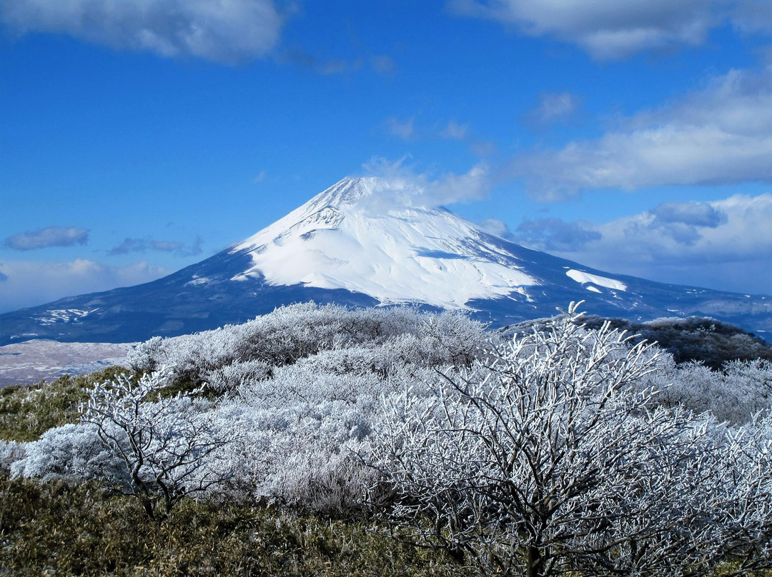 Mount Fuji Museum景点图片