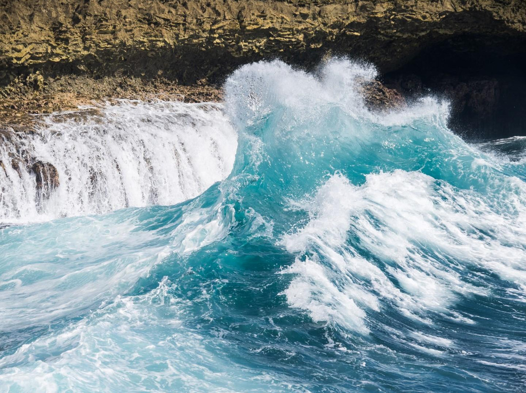 Gail's Gallery-威廉斯塔德必去景点