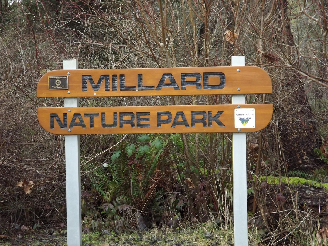 Mallard Nature Park景点图片