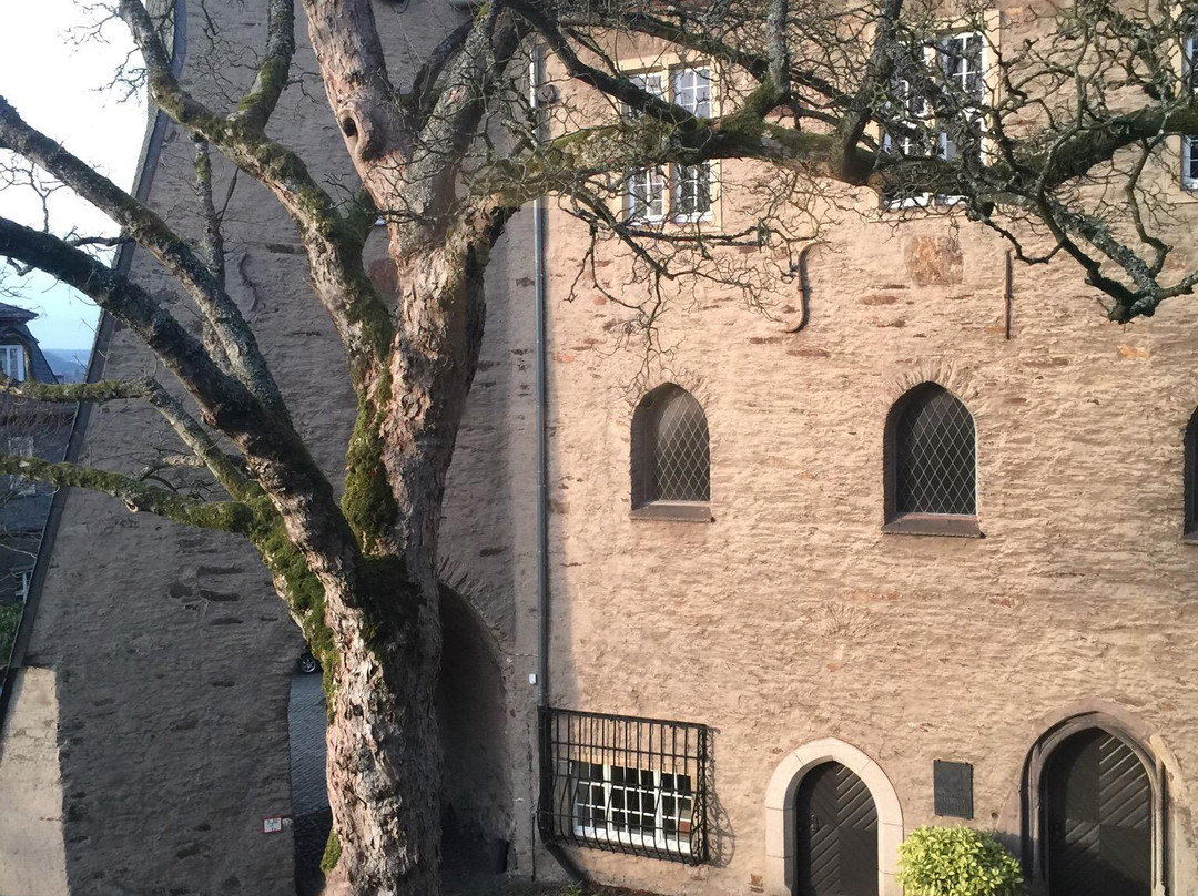 Siegerlandmuseum景点图片