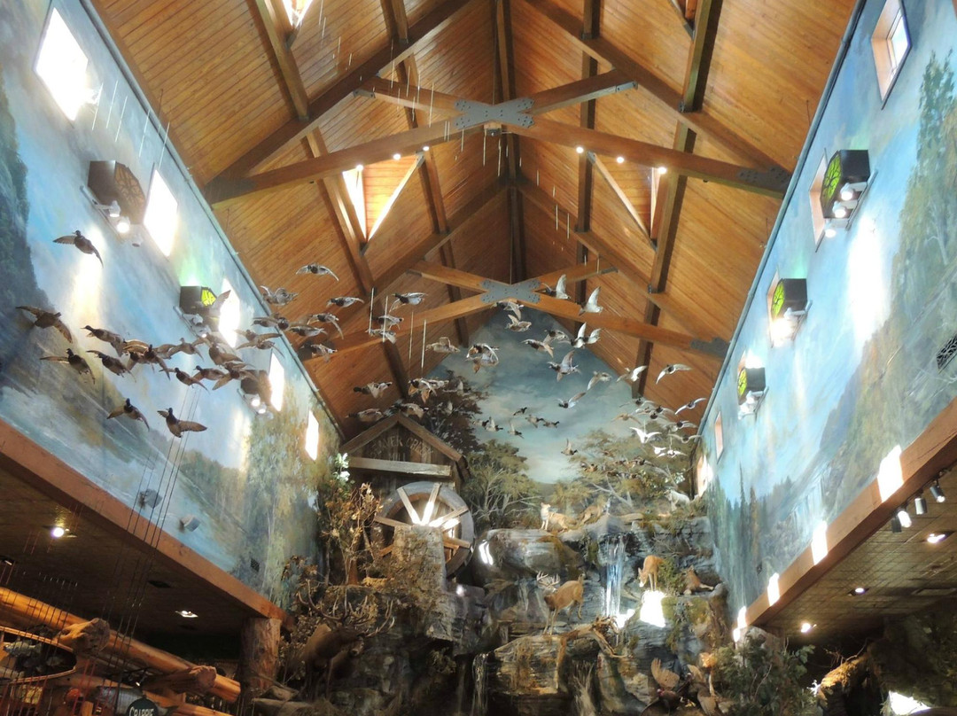 Bass Pro Shops-布兰森必去景点