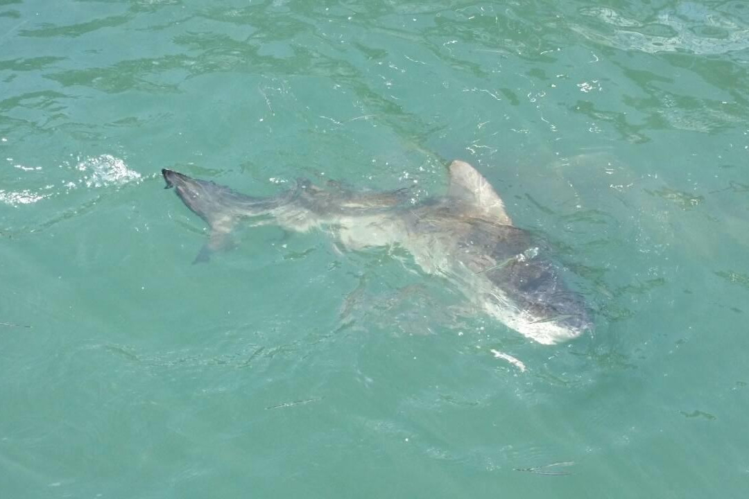 Sea Farming Demonstration Unit-尖竹汶必去景点