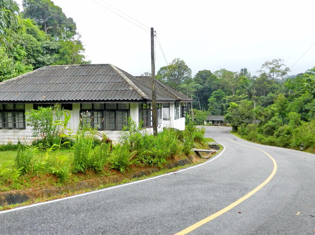 Hala-Bala Wildlife Sanctuary景点图片