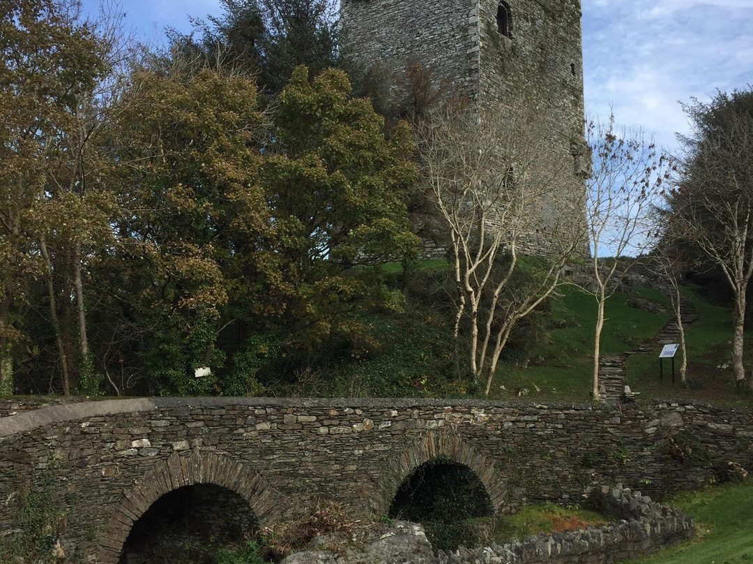 Ballinacarriga Castle景点图片