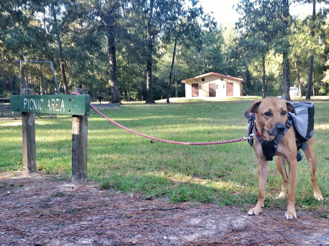 Lake Houston Wilderness Park-New Caney必去景点