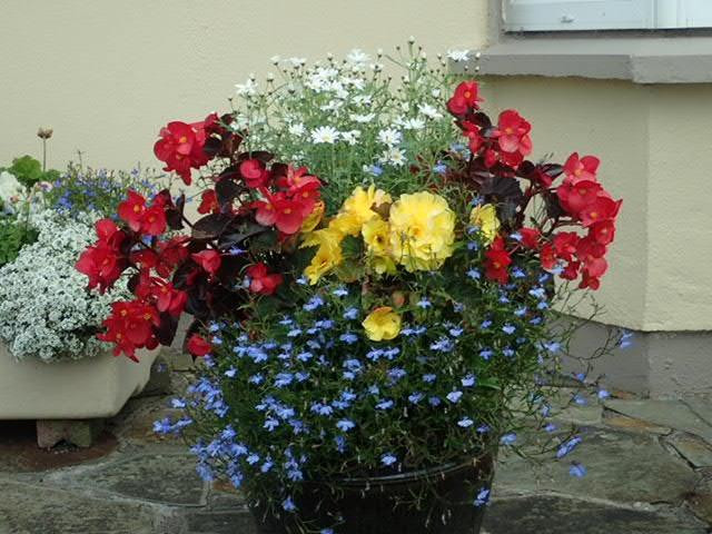 Ardfield Farmhouse B&B主图