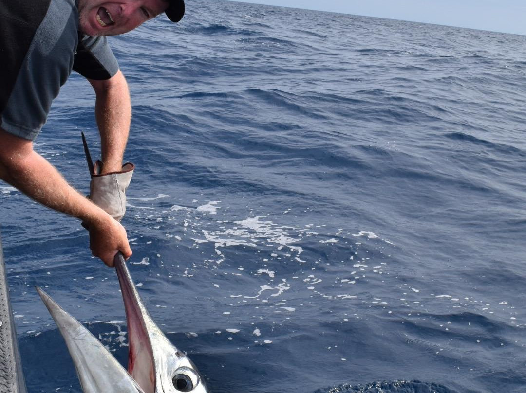 Black Pearl Fishing Charters-惠灵顿必去景点