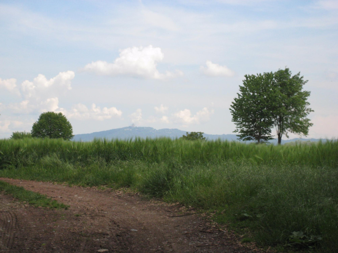 Parco Agronaturale della Dora Riparia-科莱尼奥必去景点