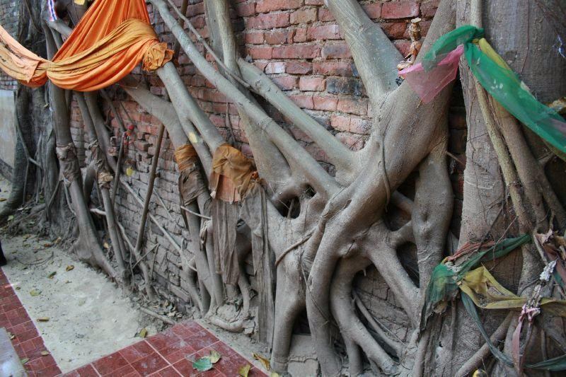 Wat Sai-因武里必去景点