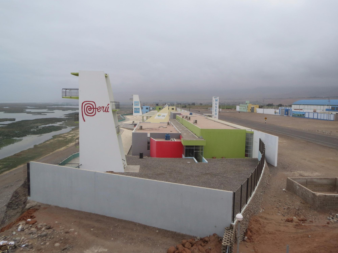 El Museo del Desierto y el Mar - El museo de ITE-塔克纳必去景点
