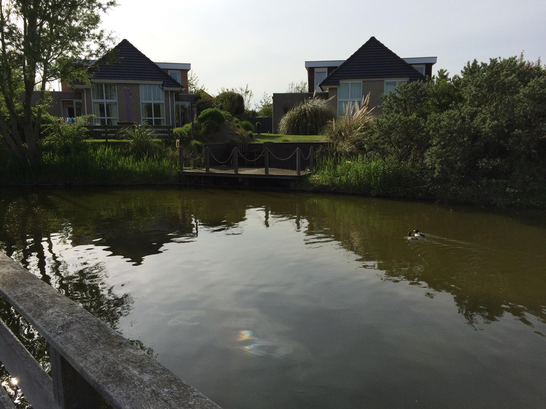 Duinpark Het Kustlicht