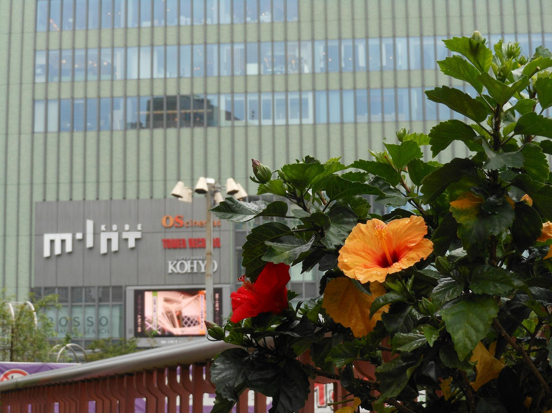 Mint Kobe-神户市必去景点