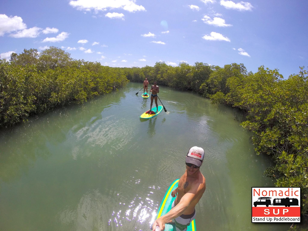 Nomadic SUP Paddleboard Eco Tours-基韦斯特必去景点