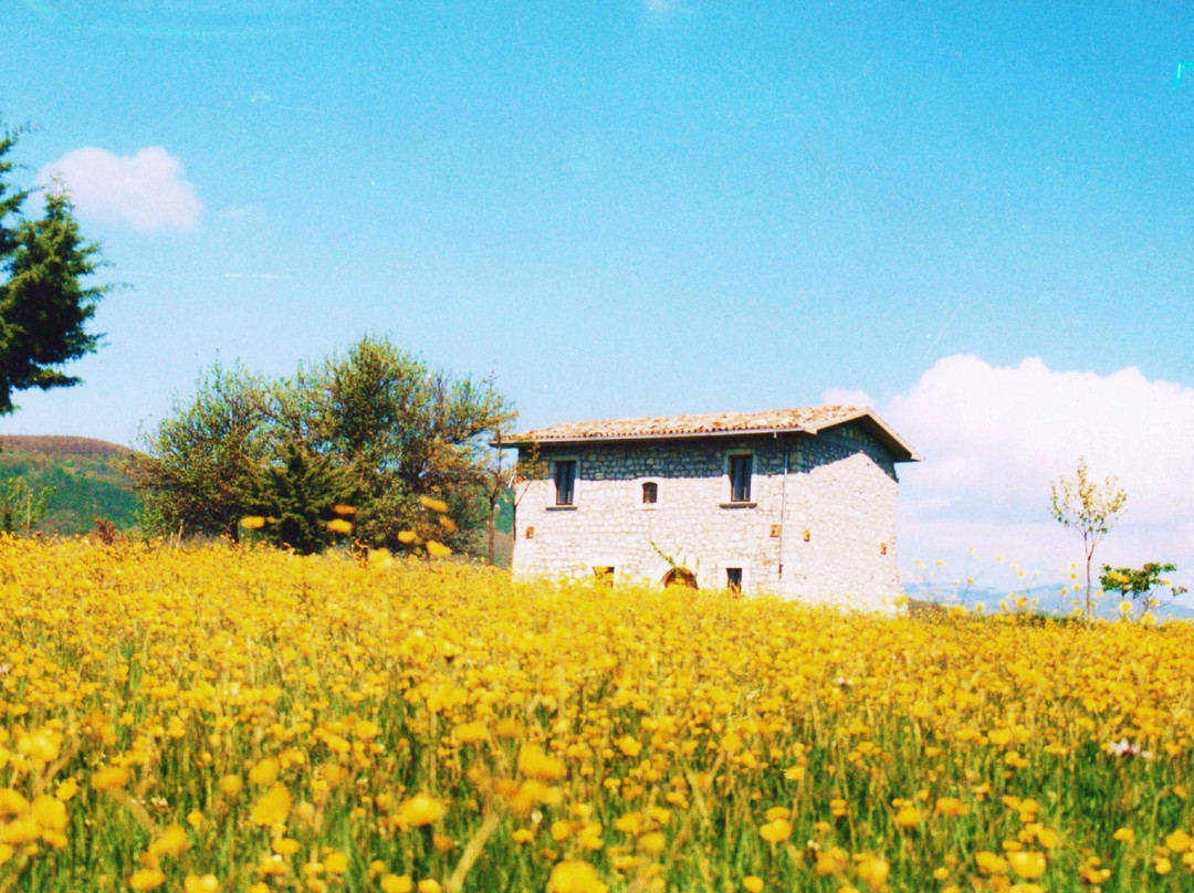 Casino Tonti Iarussi