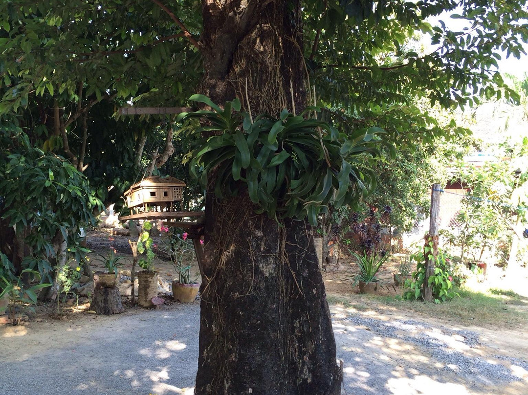 Mrs. Bun Roeung's Ancient House-马德望必去景点
