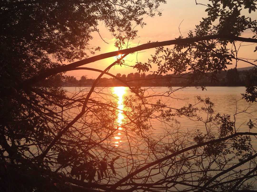 Matsqui Trail Regional Park景点图片