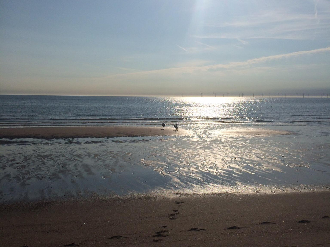 Anderby Creek Beach景点图片