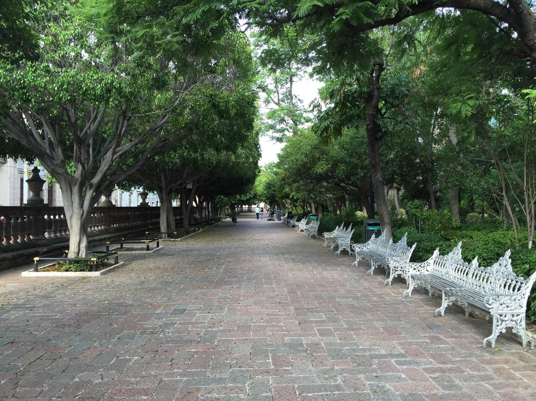 Jardin de San Marcos景点图片