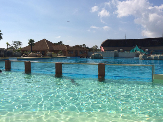 Marineland Lagoon-安提贝必去景点