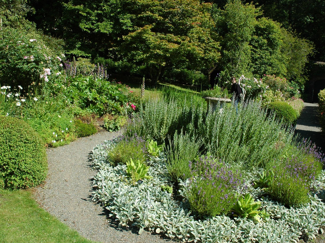 Colby Woodland Garden (National Trust)景点图片