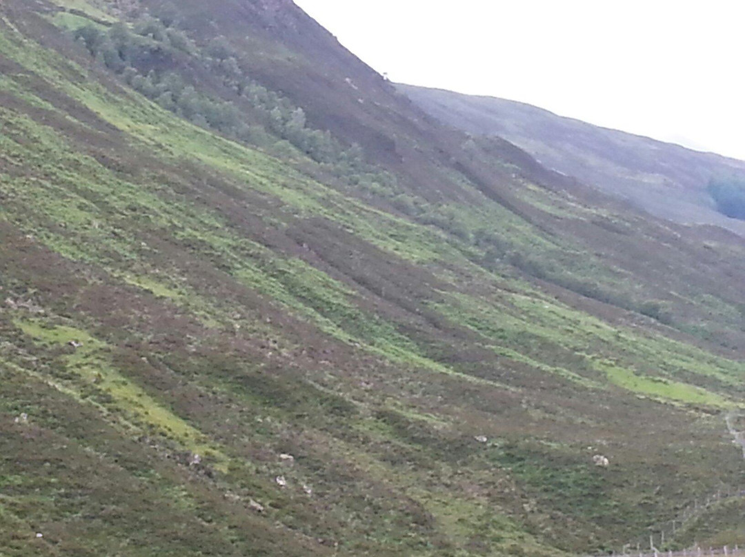 Loch Maree-盖尔洛赫必去景点