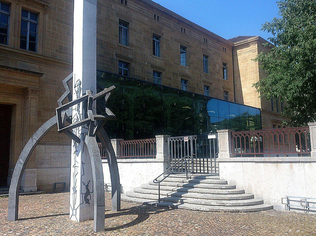Museum d'histoire naturelle-纳沙泰尔必去景点