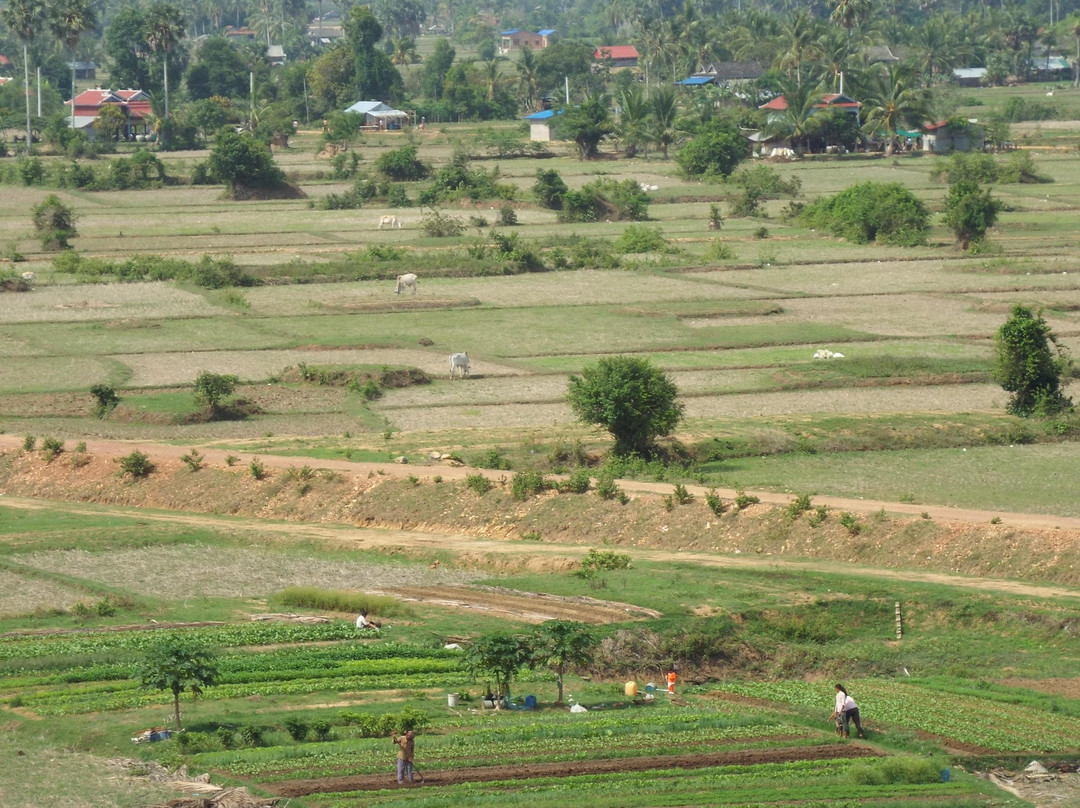 Phnom Chhngok Cave Temple-贡布必去景点