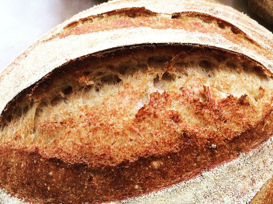 Small Food Bakery主图