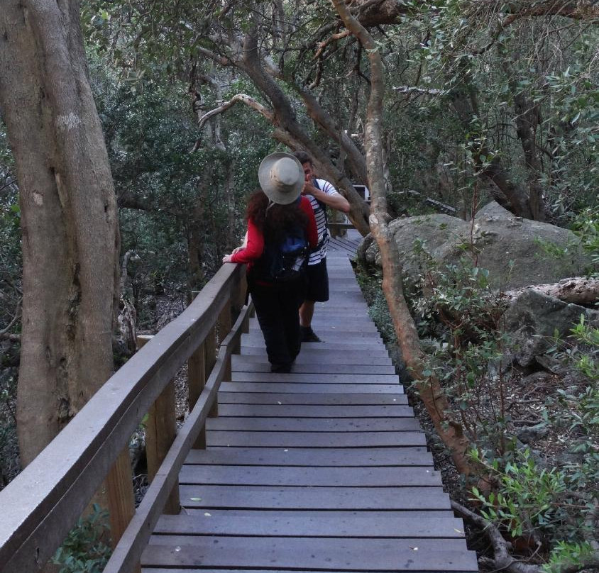 Cape Town Hiking with Tim Lundy -  Tours-Kenilworth必去景点