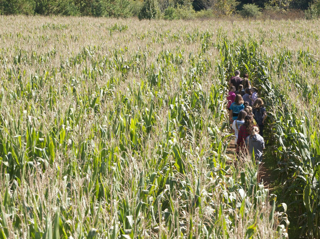 Washington Farms-Watkinsville必去景点
