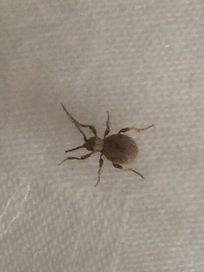 扎西德勒大酒店主图