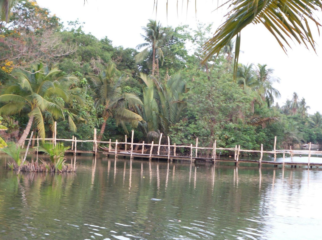 Binh Quoi Village景点图片