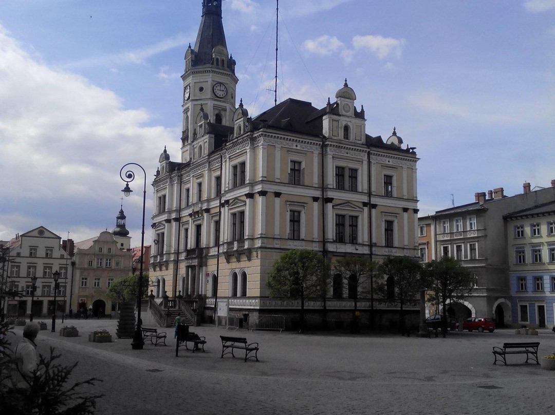 Town Hall Ladek Zdroj景点图片