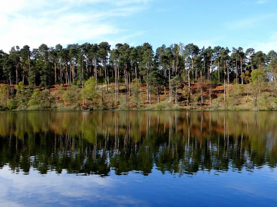 Millbuies Trout Fishery, Moray Fly Fishers
