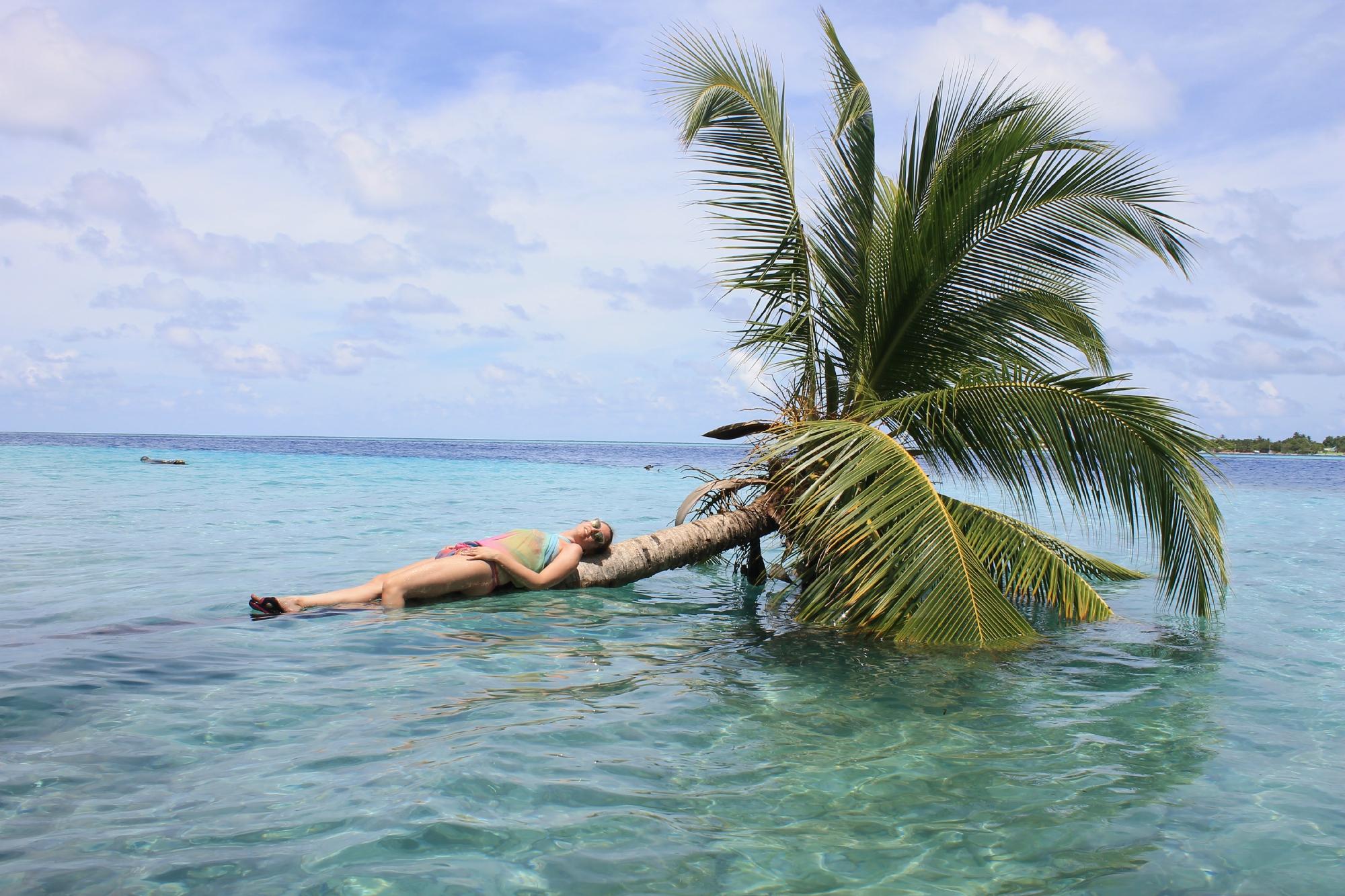 Island Holiday Home-泳池