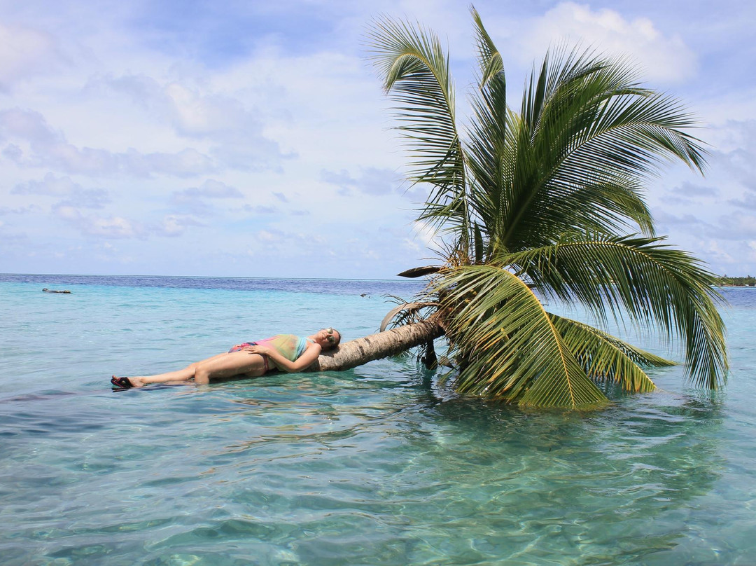 Island Holiday Home主图