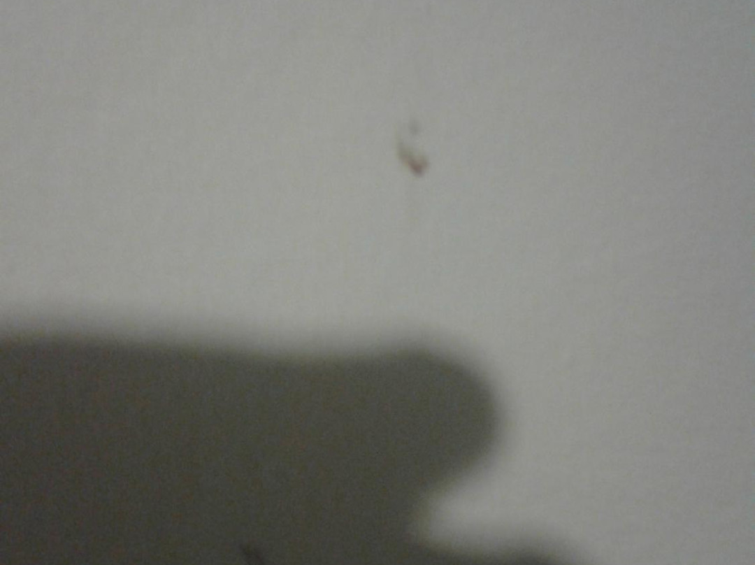 本加玛斯普雷斯酒店主图