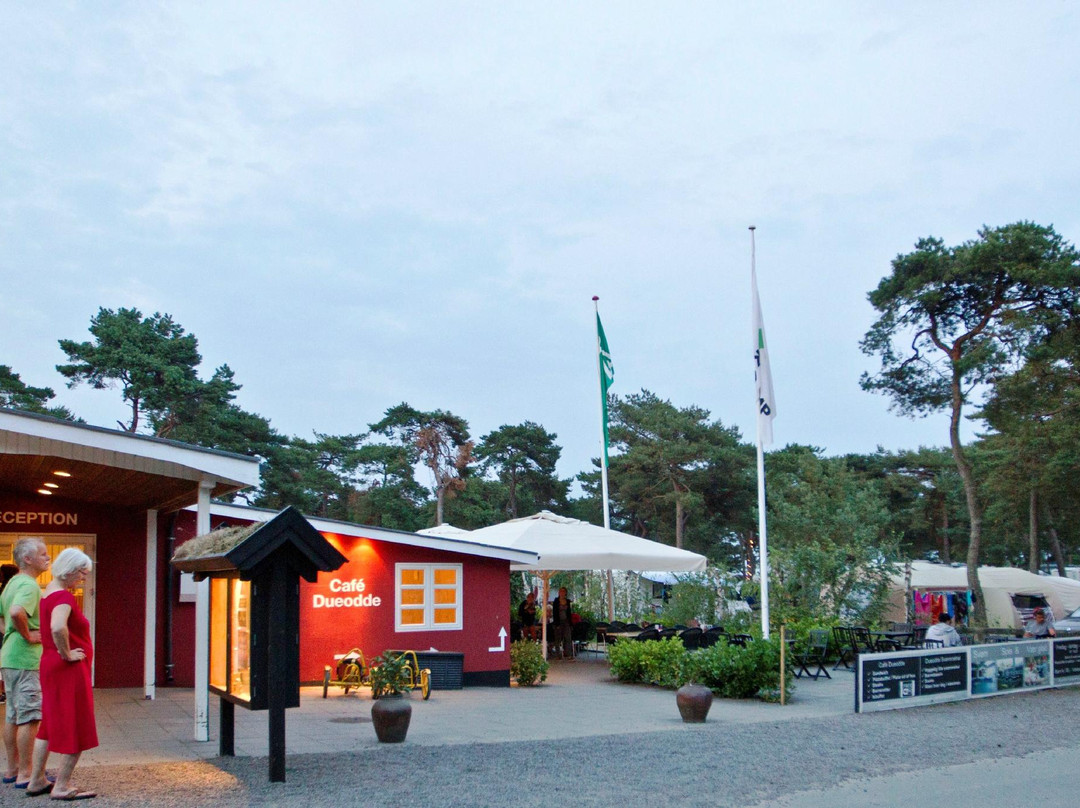 Dueodde Hostel