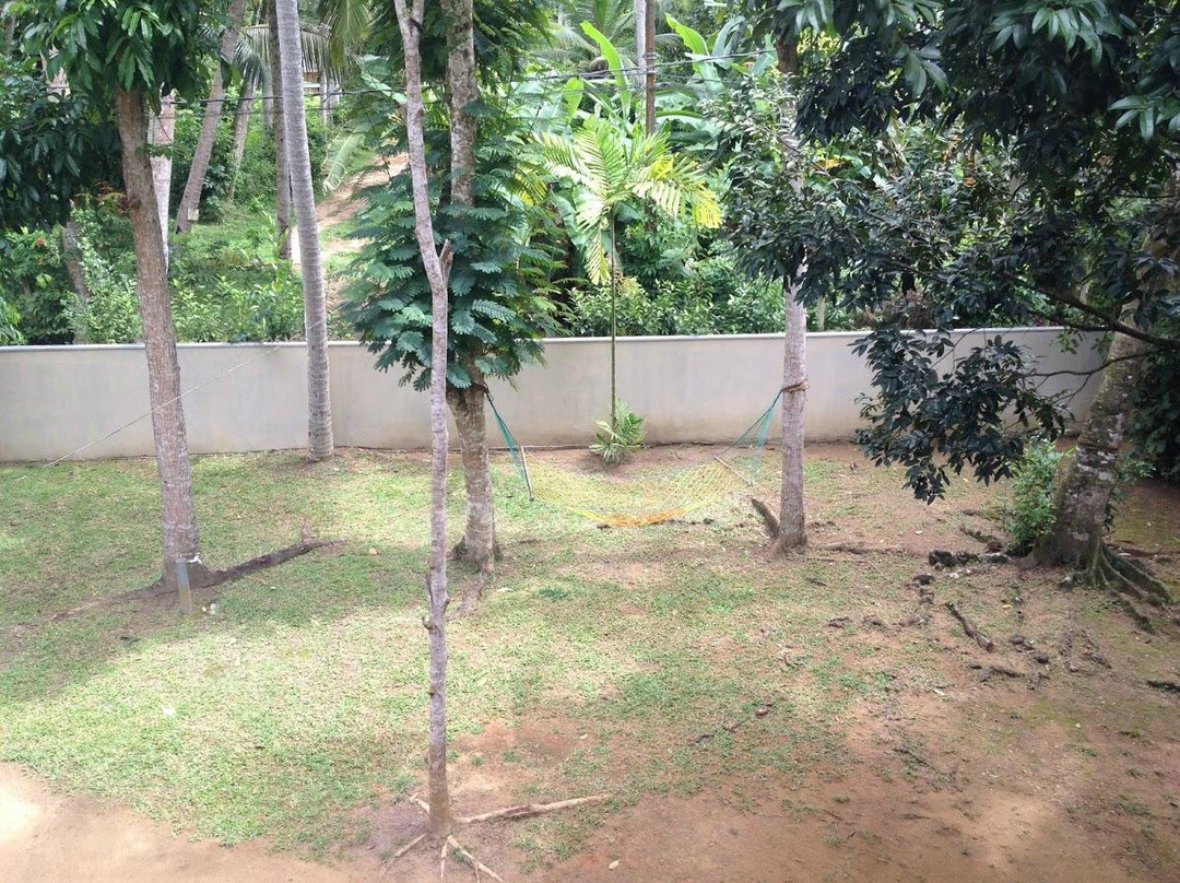 Tropical Tree Villa Galle主图