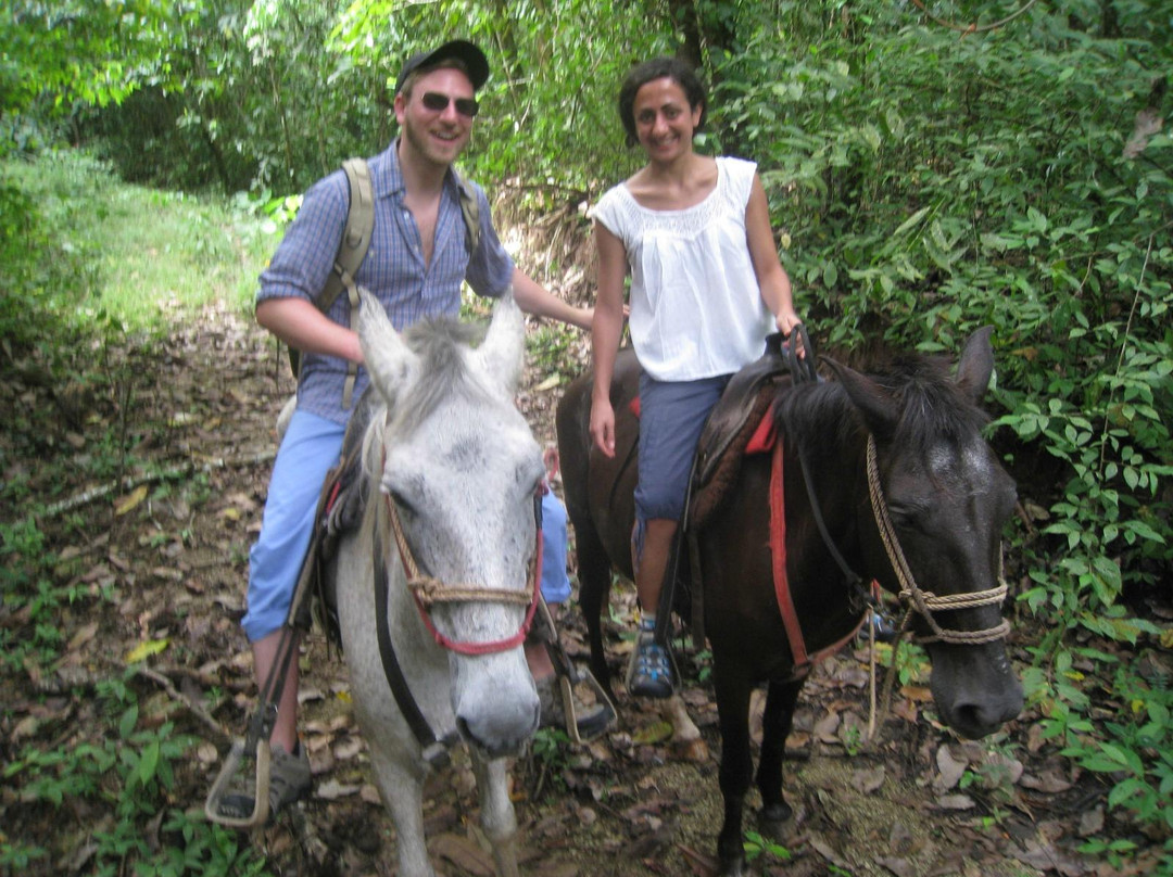 El Pinto Horseback Riding Expeditions景点图片