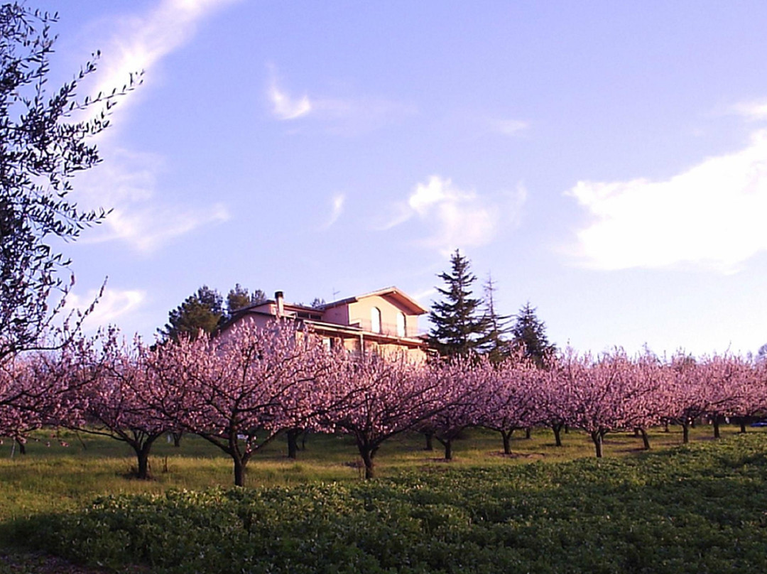Podere Costantino