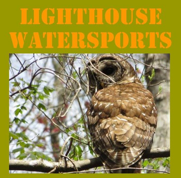 Lighthouse WaterSports-迈尔斯堡海滩必去景点