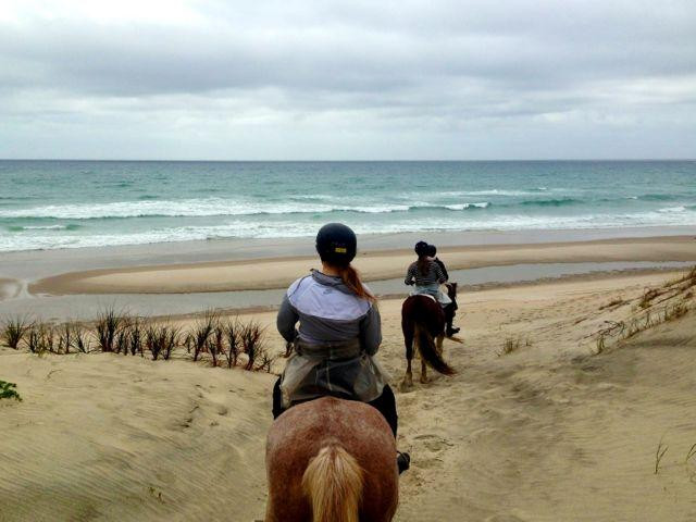 Pakiri Beach Horse Rides - Day Tours-韦尔斯福德必去景点