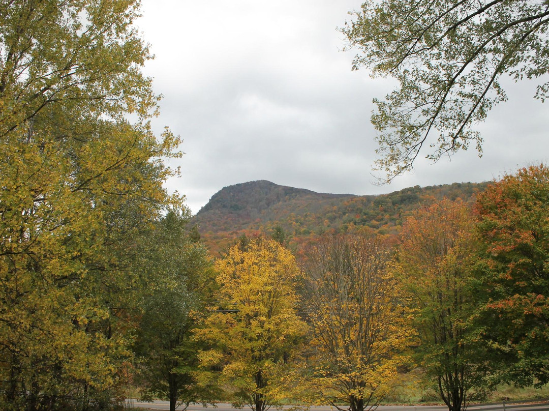 Buffalo Tavern Bed and Breakfast主图