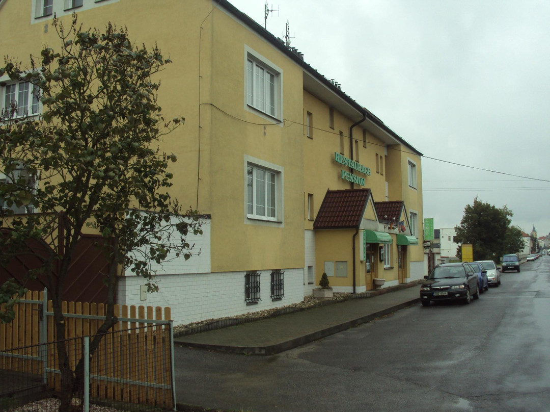 Pension U Mydlaru主图